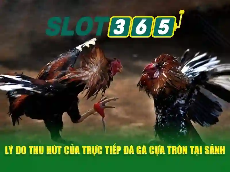 baccarat slot365
