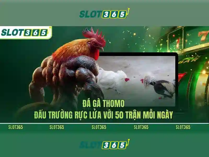 Khuyến mãi và chơi thử miễn phí