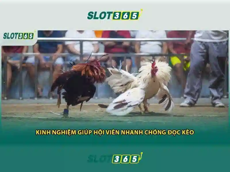 Slot365 là gì?