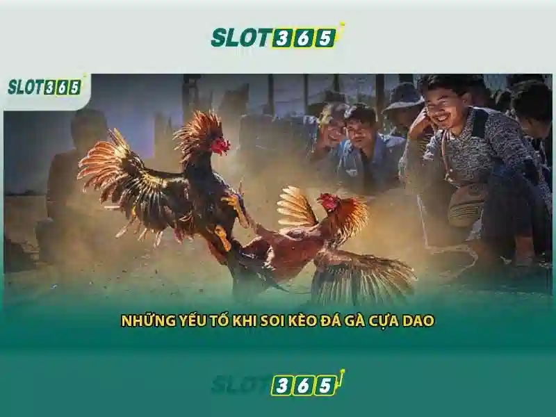 Slot365 – Trải nghiệm kasino trực tuyến hàng đầu