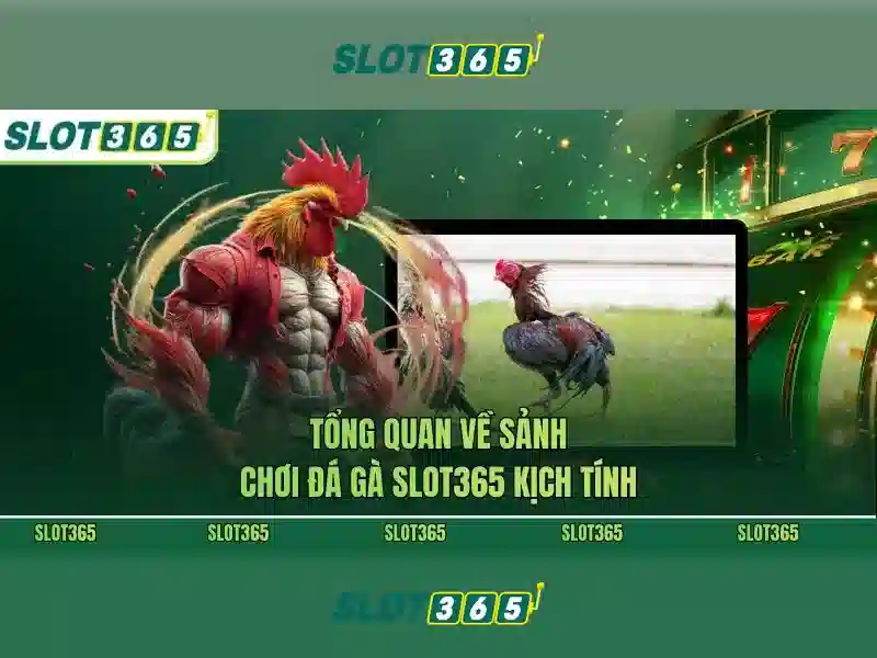 Slot365: Nền tảng slots trực tuyến an toàn và thân thiện