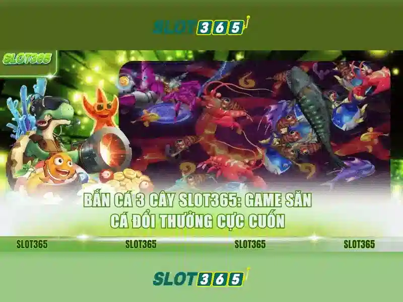 Tại sao chọn Slot365?