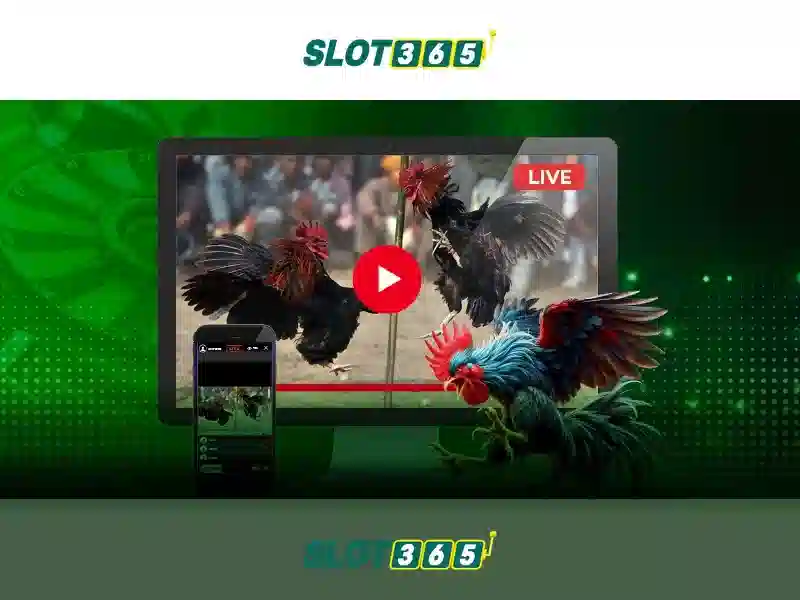 An toàn và bảo mật trên Slot365