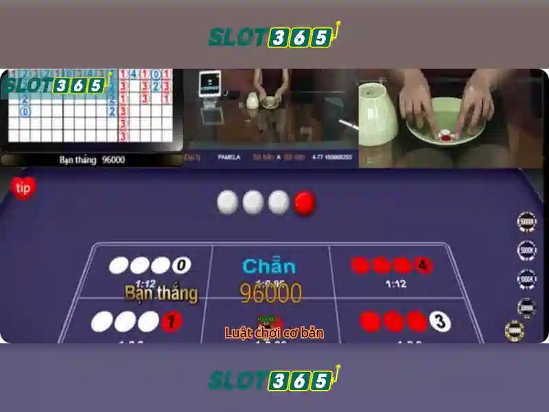 Slot365 - Nền tảng casino trực tuyến an toàn và đáng tin cậy