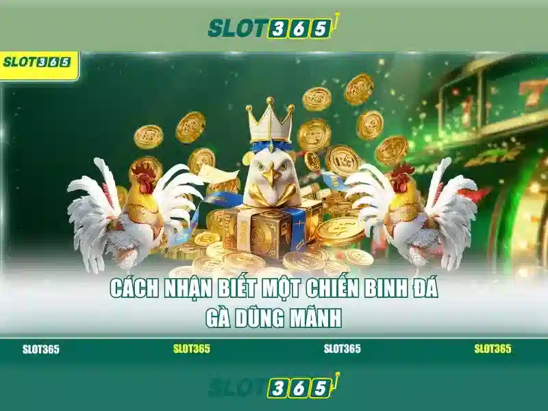 Cách tham gia và lưu ý người chơi