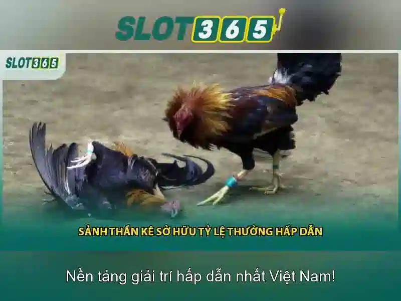 An toàn và bảo mật