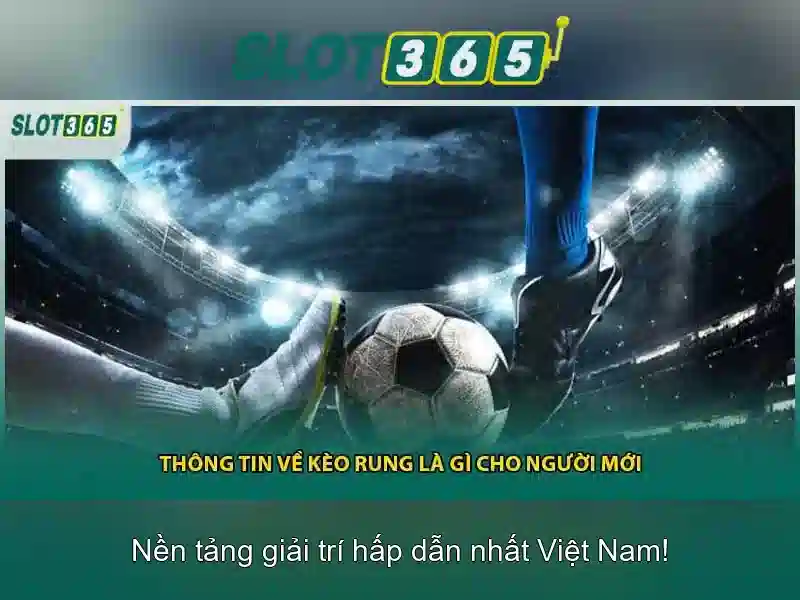 Khuyến mãi và chương trình thưởng