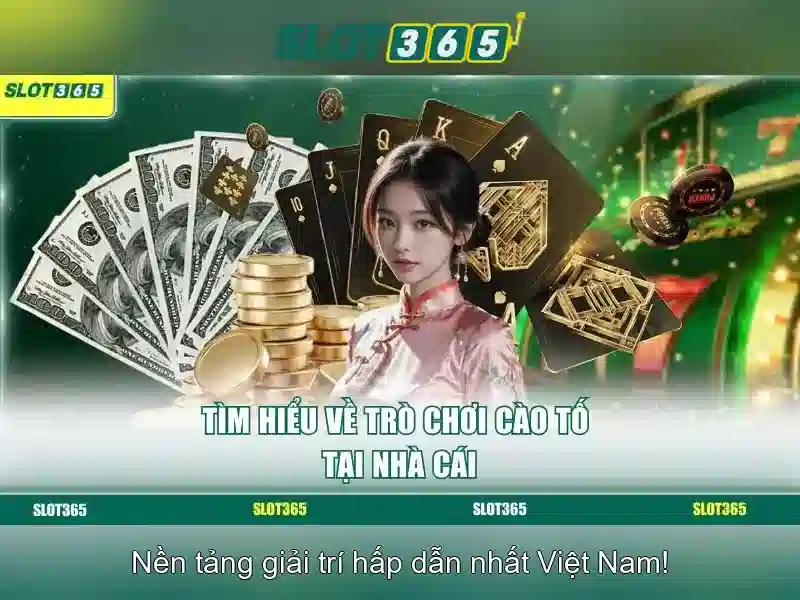 Trải nghiệm người dùng và đánh giá thực tế