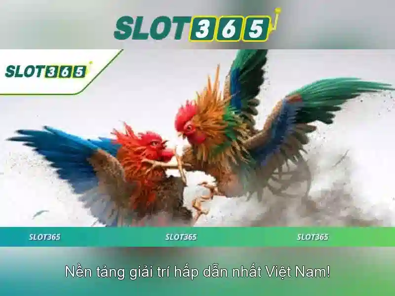 Giới thiệu Slot365