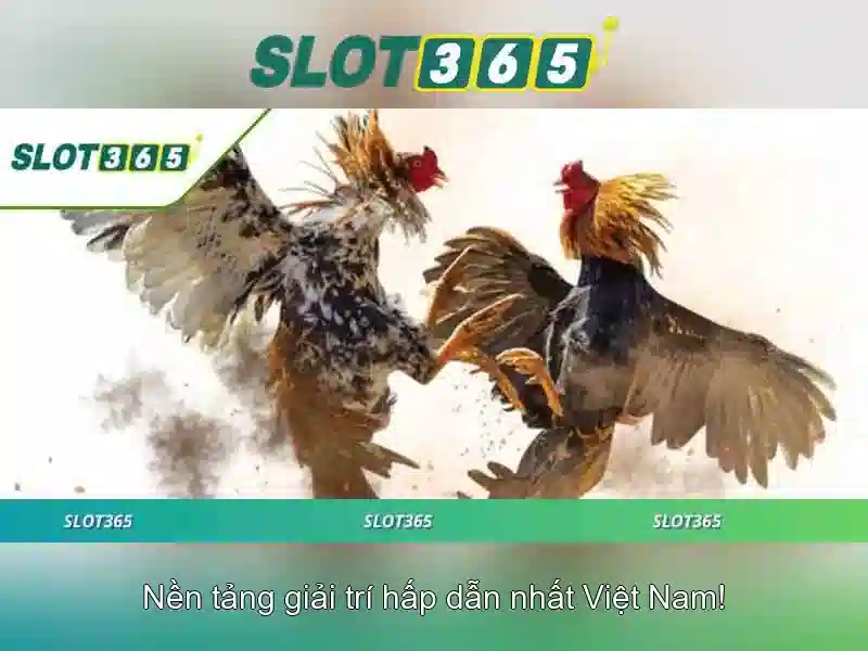 Slot365-bao-mat-banner