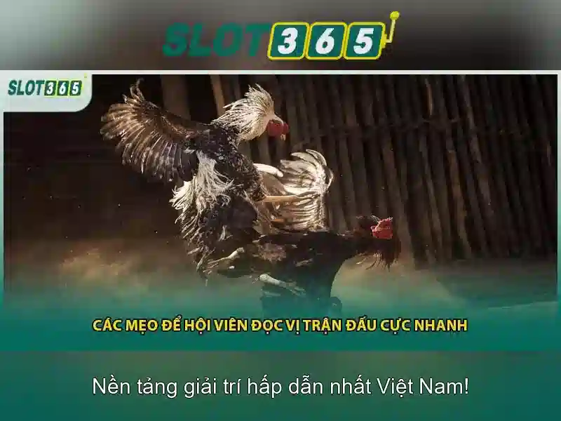 Slot365 – Nền tảng slot trực tuyến uy tín