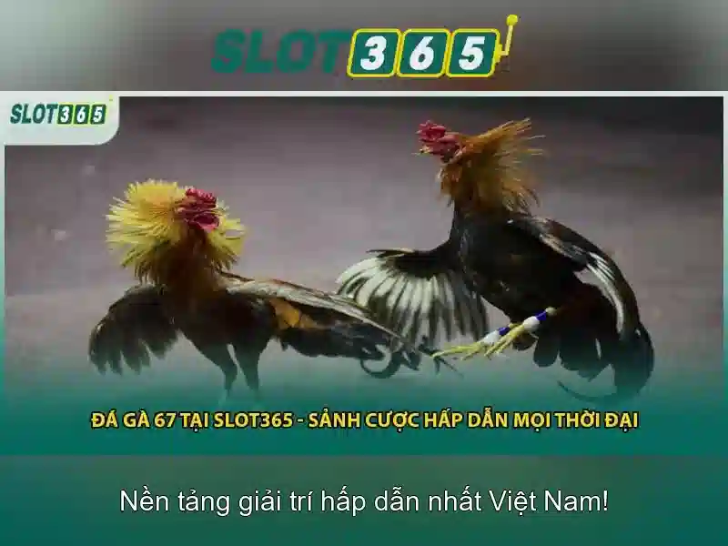Lợi thế khi chơi tại Slot365