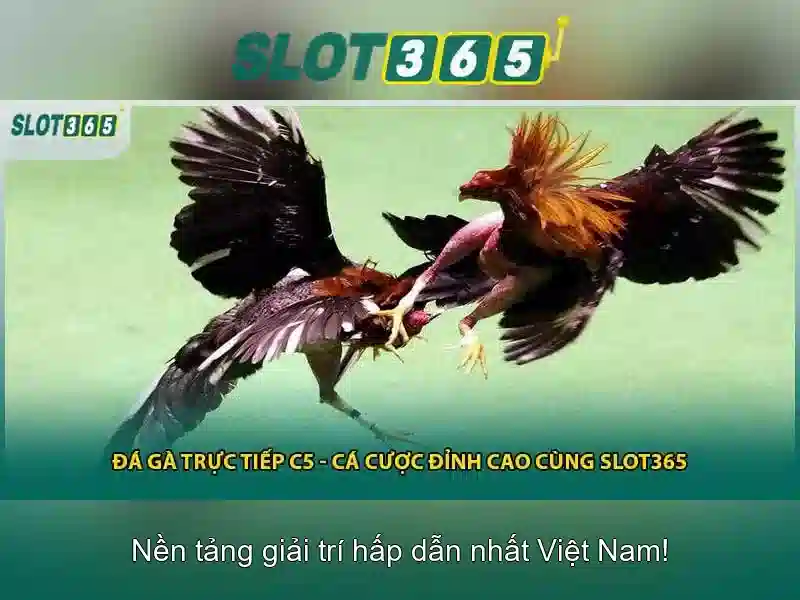 Tiện ích và khuyến mãi hấp dẫn