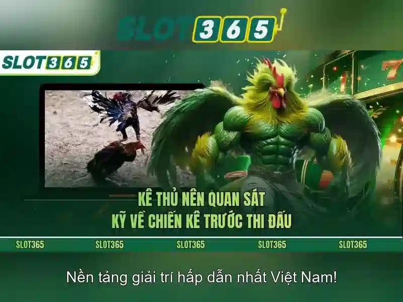Giao diện người dùng và trải nghiệm di động