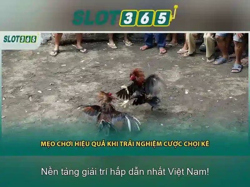 slot365_intro_image