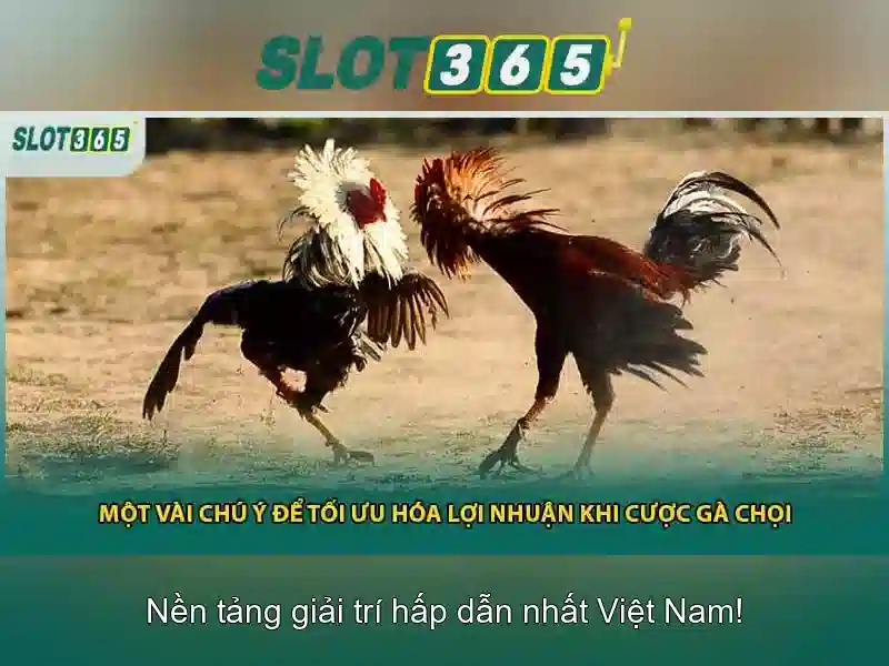 baccarat slot365