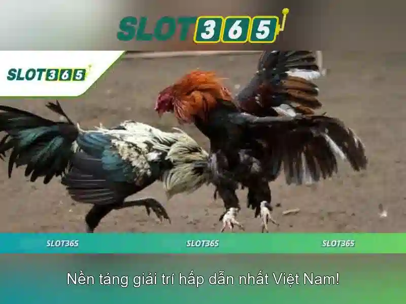 Lý do chọn Slot365 cho trải nghiệm của bạn
