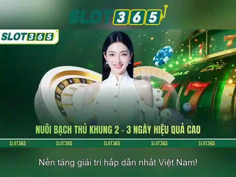 baccarat slot365